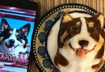 Taiwan cafe makes 3D latte animal art