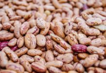 How To Decide Which Beans Are Right For Your Next Dish