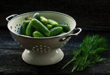 Uncovering the World of Pickles!