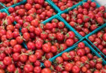 Add Roasted Tomatoes to all Your Favorite Dishes