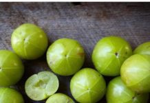 Huge Health Benefits of Amla Berries