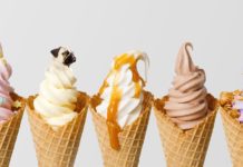 You’re Going to Love “Dogs in Food” Instagram Account