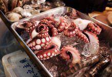Four of the Strangest Seafoods on Earth