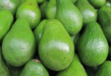 These Tips Will Help You Pick the Perfect Avocado