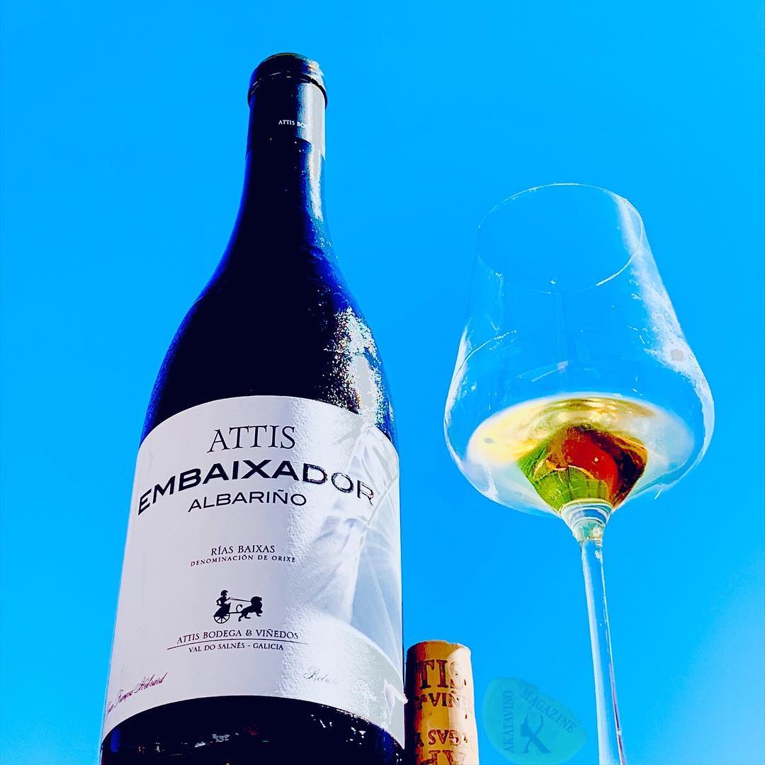 The Albariño Grape Produces Some of the World’s Top White Wines ...