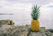 Did You Know that Pineapples Also Grow in Portugal?