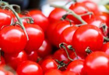 Cherry vs. Grape Tomatoes: What are the Differences?