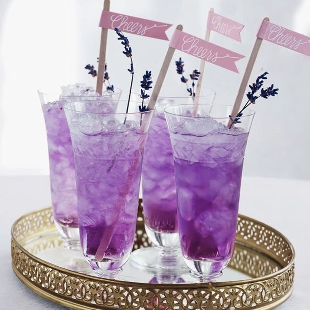 lavender Collins