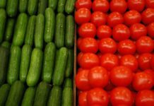 Look Out for These Seasonal Veggies this Summer!