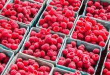 This Raspberry Mousse is Perfectly Light and Sweet!