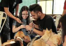 Malang City in Indonesia Has an Awesome Dog Café