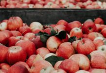 3 Creative Apple Desserts