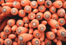 These Foods Actually Look Like the Parts of Your Body They Help!