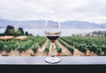 Wine Tasting is Actually Good for You!