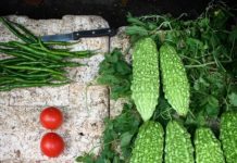 What is Bitter Melon?