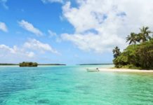 Jamaica’s Essential Dishes are a Must-Eat
