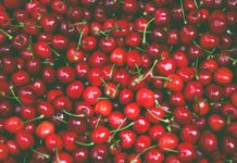 If You’re a Dog Lover that Cooks, Be Wary of These Foods