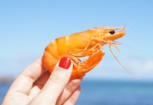In Japan? You Must Try These Live Seafood Dishes