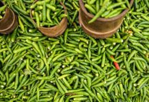 You Never Know These Peppers are Spicy or Not!
