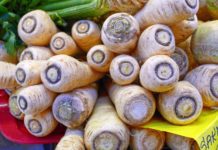 Try This Creamy Parsnip Soup This Winter!