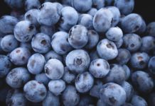 Foods With Anti-Arthritis Properties Foods that can reduce arthritis