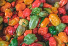 Peppers to Stuff for Dinner Tonight