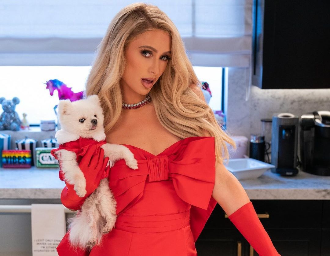 Paris Hilton Hosts A Cooking Show On Netflix Falafelandcaviar