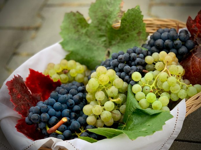 Red or green grapes