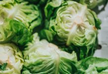 3 Main Differences Between Cabbages and Brussels Sprouts Cabbage vs. Brussels Sprouts