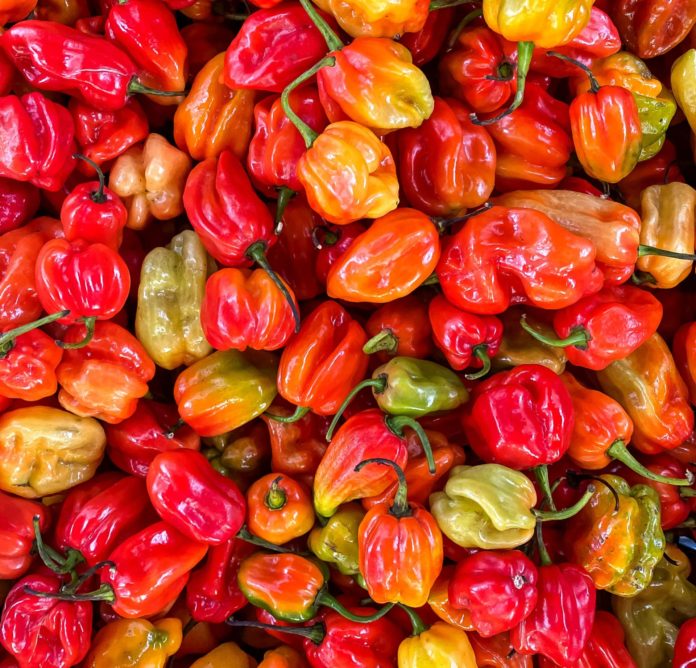 Spicy colorful peppers