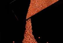 5 Reasons to Include Red Lentils in Your Daily Diet Red Lentils