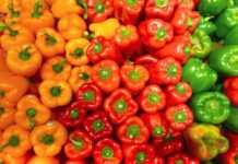 The Health Benefits of Bell Peppers Bell peppers