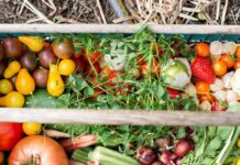 Shopping for Produce? Here’s a Short Guide to Test for Ripeness Produce