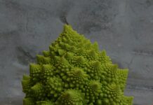 Spice Up Your Cooking With These Unique Veggies Romanesco Broccoli