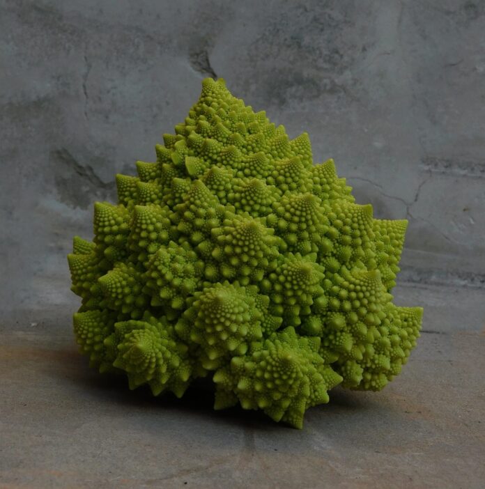 Romanesco Broccoli