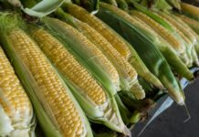 3 Ways to Have Sweet Corn Corn