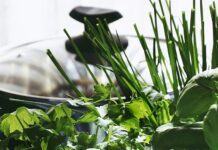 Fresh Herbs that You Should Always Have in Your Kitchen Herbs