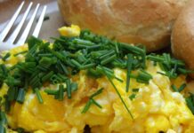 This Scrambled Tofu Recipe Is Supreme Scrambled eggs with toast
