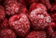 Shaking the Bag and Other Tips for Buying Frozen Food Frozen fruits